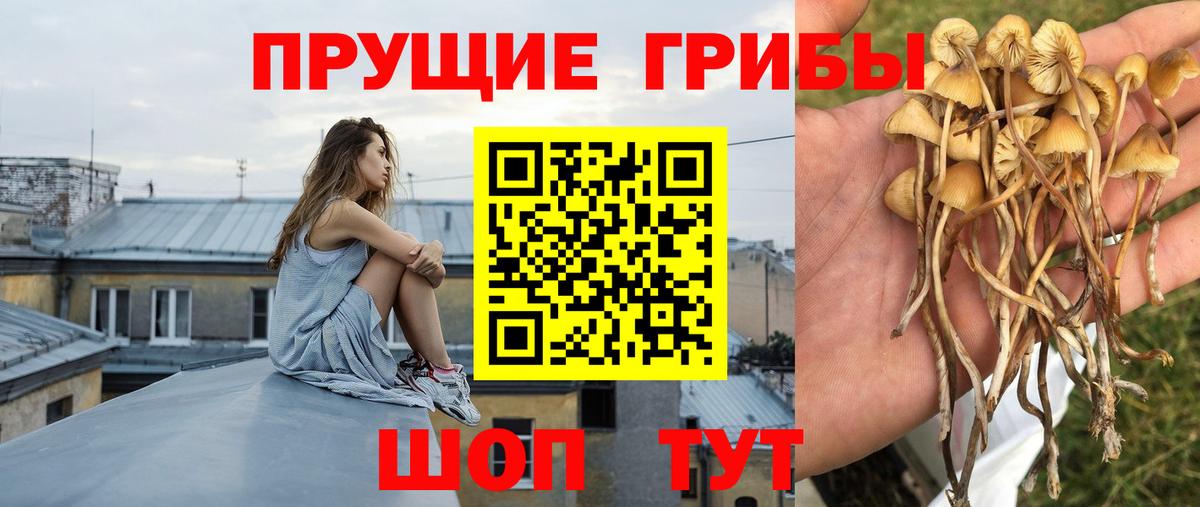 Псилоцибиновые грибы мухоморы  Псилоцибиновые грибы мухоморы  Вход с VPN  где продают наркотики  Серов 